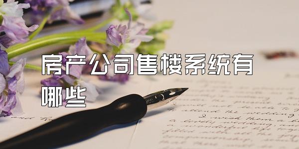 房产公司售楼系统有哪些