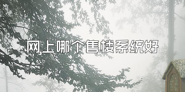 网上哪个售楼系统好