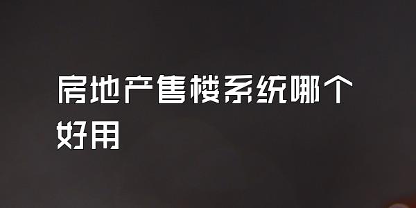 房地产售楼系统哪个好用