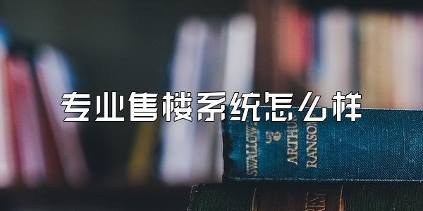 专业售楼系统怎么样