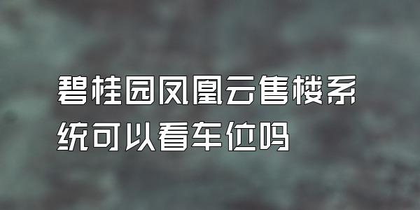 碧桂园凤凰云售楼系统可以看车位吗