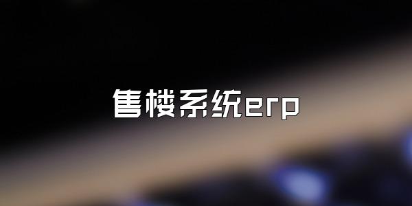 售楼系统erp