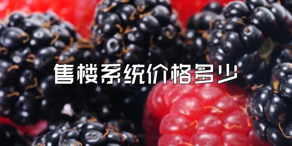 售楼系统价格多少