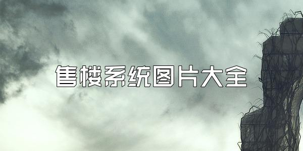 售楼系统图片大全
