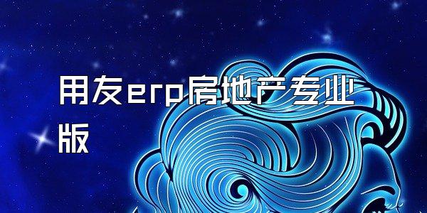 用友erp房地产专业版