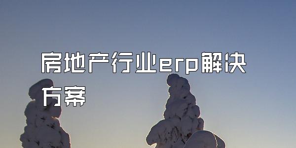 房地产行业erp解决方案