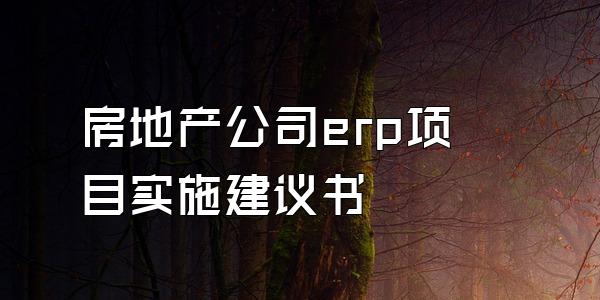 房地产公司erp项目实施建议书