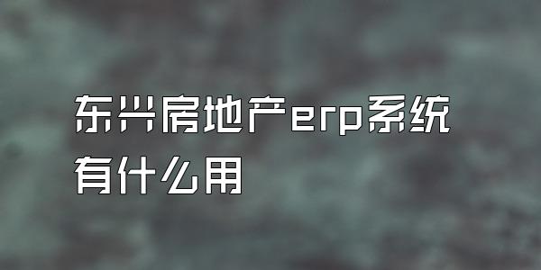 东兴房地产erp系统有什么用