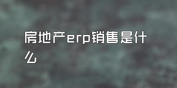 房地产erp销售是什么