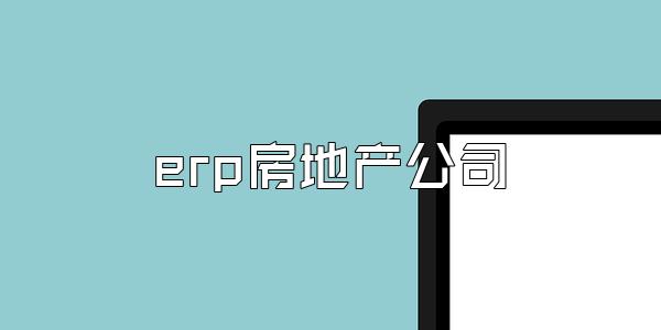 erp房地产公司