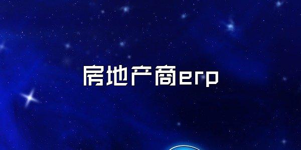 房地产商erp