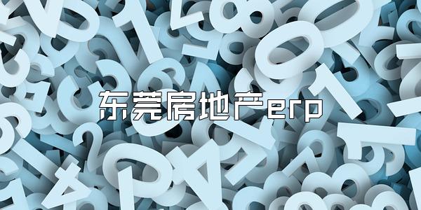 东莞房地产erp