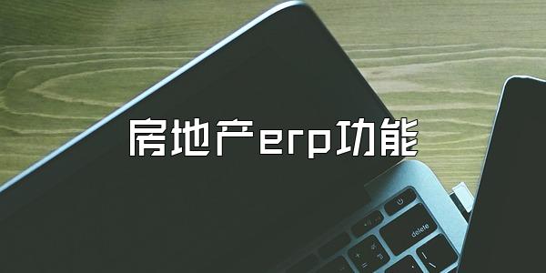 房地产erp功能