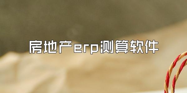 房地产erp测算软件