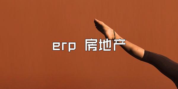 erp 房地产