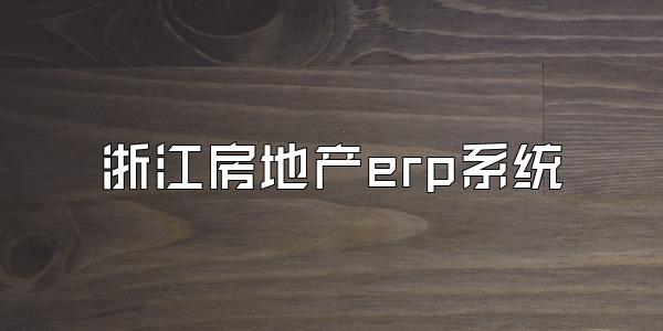 浙江房地产erp系统