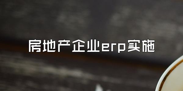 房地产企业erp实施