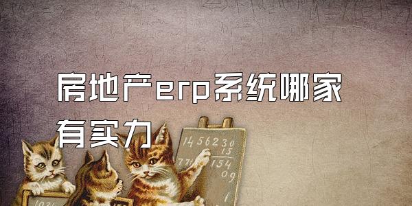 房地产erp系统哪家有实力