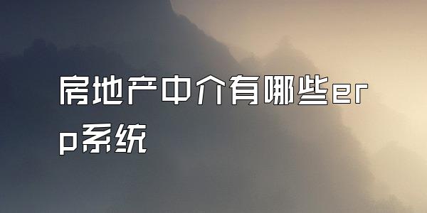 房地产中介有哪些erp系统