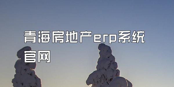 青海房地产erp系统官网