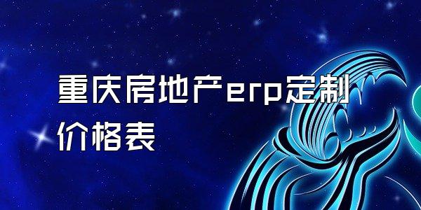 重庆房地产erp定制价格表