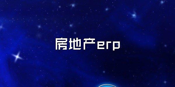 房地产erp