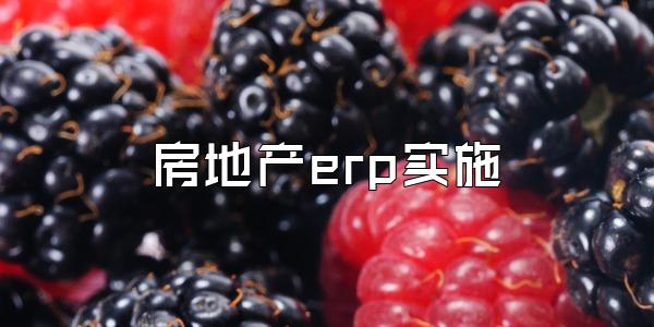 房地产erp实施