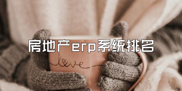 房地产erp系统排名