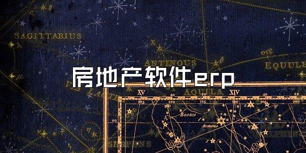 房地产软件erp