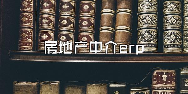 房地产中介erp