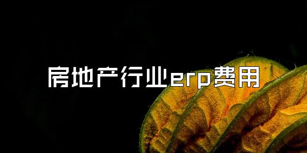 房地产行业erp费用