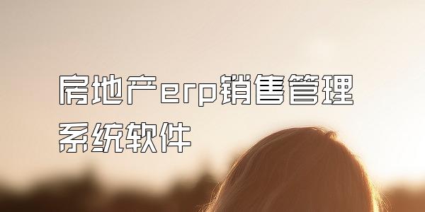 房地产erp销售管理系统软件