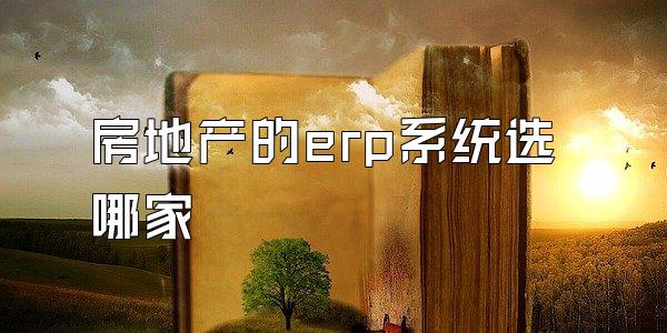 房地产的erp系统选哪家