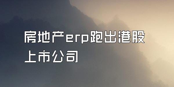 房地产erp跑出港股上市公司