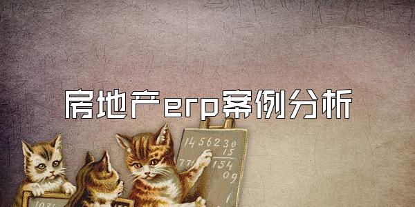 房地产erp案例分析