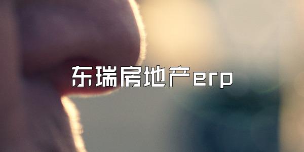 东瑞房地产erp