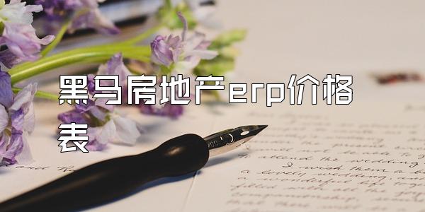 黑马房地产erp价格表