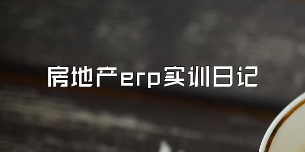 房地产erp实训日记