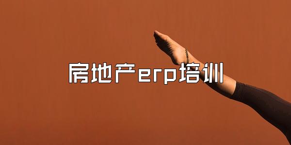 房地产erp培训