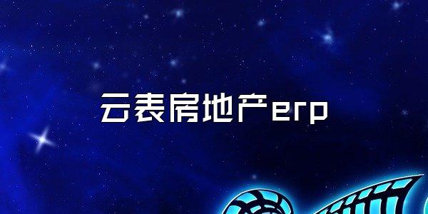 云表房地产erp