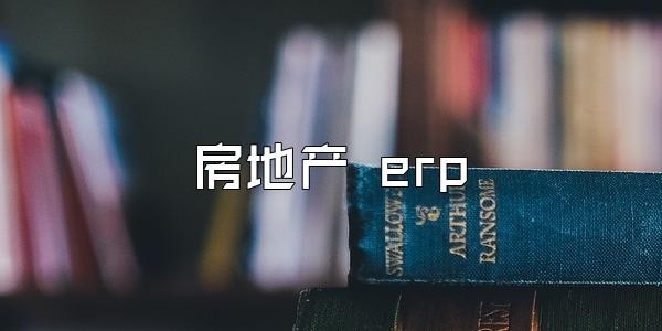 房地产 erp