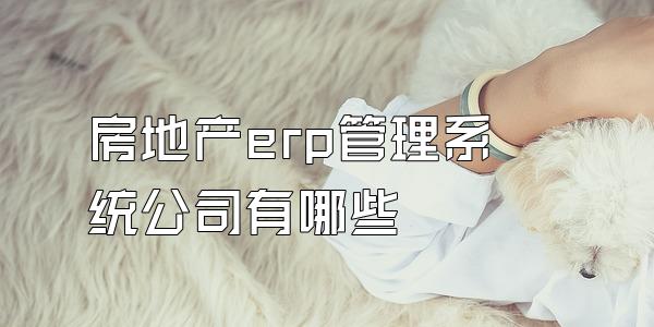 房地产erp管理系统公司有哪些