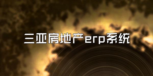 三亚房地产erp系统