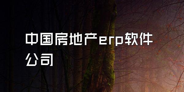 中国房地产erp软件公司