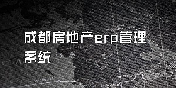 成都房地产erp管理系统