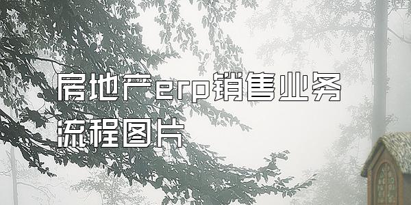 房地产erp销售业务流程图片