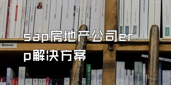 sap房地产公司erp解决方案