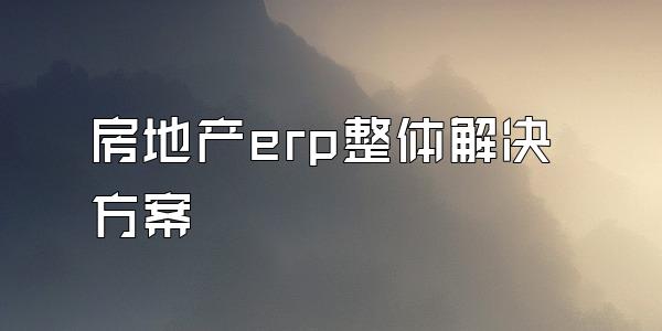 房地产erp整体解决方案