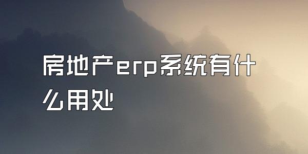 房地产erp系统有什么用处