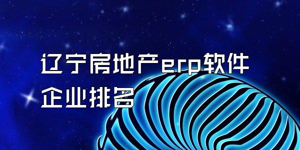 辽宁房地产erp软件企业排名